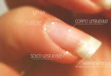 Com’è fatta l’unghia?