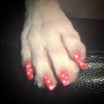 Una zampetta con lo smalto e la nail art a pois