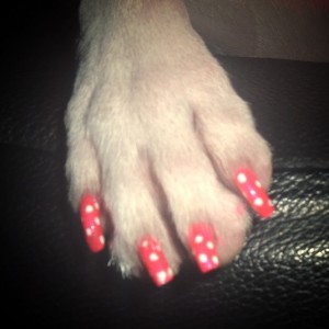 Una zampetta con lo smalto e la nail art a pois