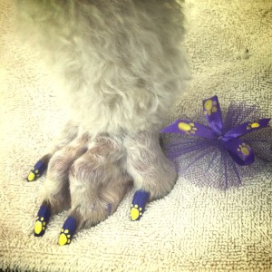 Una bella nail art dedicata ai cani