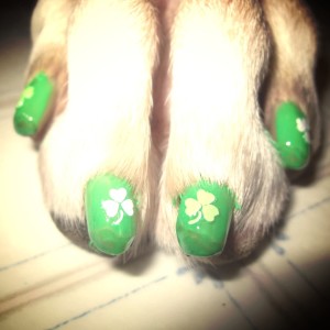 Lo smalto e la nailart verde per i cani