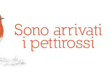 Pettirossi sulle unghie